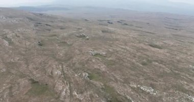 Uçan İHA 'nın, bozkırda dört nala koşan vahşi at sürüsünün üzerinde uçarken çekilmiş havadan çekilmiş yavaş çekim görüntüleri. Bulutlu doğal manzara. Vahşi doğa, arka planda dağlar. 