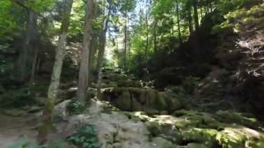 Büyülü bir ormanda şelaleden akan bir dereyle uçan insansız hava aracı görüntüsü, yosunlu yeşil taşlar, yavaşça öne doğru uçan kamera, ses ile aşağı inen su.