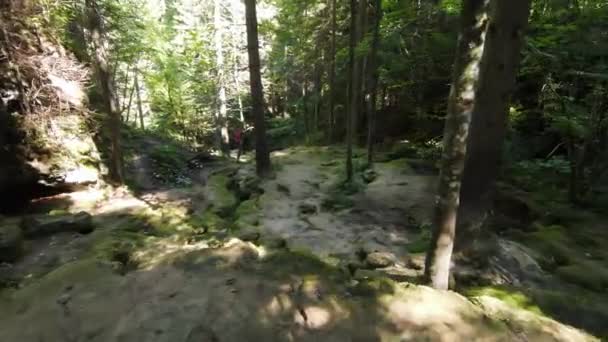 空中无人驾驶飞机在迷人的森林中飞行 有一条狂野的峡谷 一条小溪沿着瀑布流下 绿色的石子镶嵌着苔藓 照相机缓慢地向前飞去 水声汹涌而下 — 图库视频影像