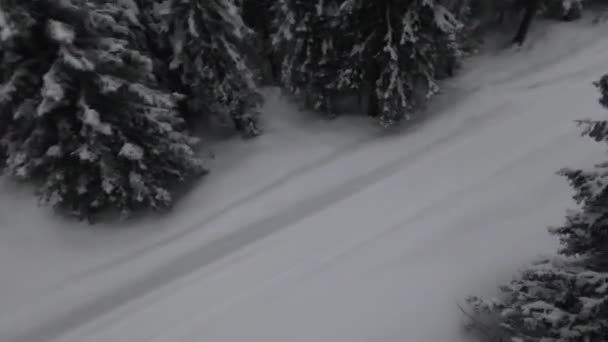 雪覆在森林里的树木上 飘飘欲仙的雾气和美丽的光线 鸟瞰着冬季的画面 高质量的4K镜头 — 图库视频影像