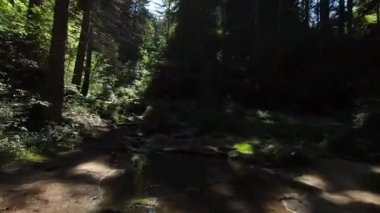 Büyülü bir ormanda şelaleden akan bir dereyle uçan insansız hava aracı görüntüsü, yosunlu yeşil taşlar, yavaşça öne doğru uçan kamera, ses ile aşağı inen su.