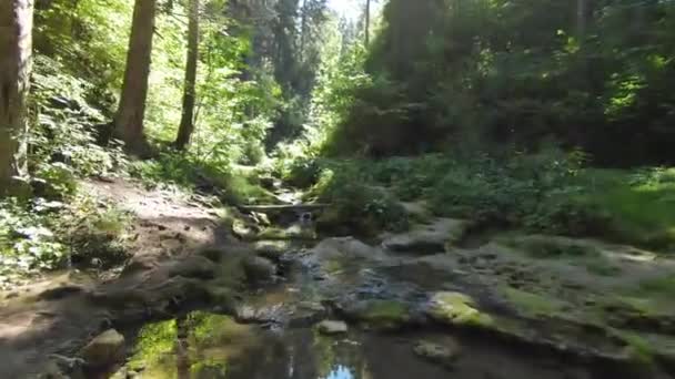空中无人驾驶飞机在迷人的森林中飞行 有一条狂野的峡谷 一条小溪沿着瀑布流下 绿色的石子镶嵌着苔藓 照相机缓慢地向前飞去 水声汹涌而下 — 图库视频影像