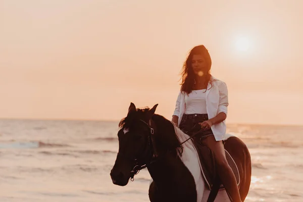 Woman Summer Clothes Enjoys Riding Horse Beautiful Sandy Beach Sunset — 스톡 사진