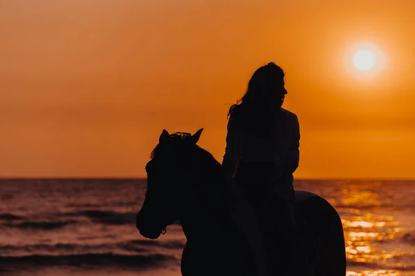 Woman Summer Clothes Enjoys Riding Horse Beautiful Sandy Beach Sunset — 스톡 사진