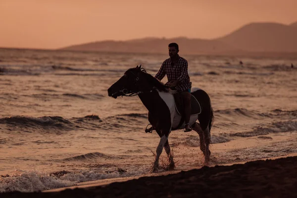 Modern Man Summer Clothes Enjoys Riding Horse Beautiful Sandy Beach — Zdjęcie stockowe