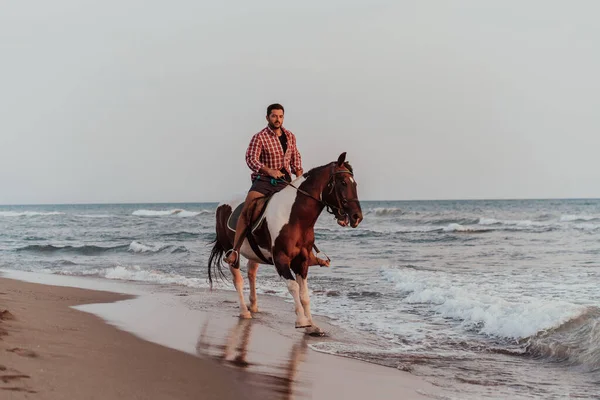Modern Man Summer Clothes Enjoys Riding Horse Beautiful Sandy Beach — Stok fotoğraf