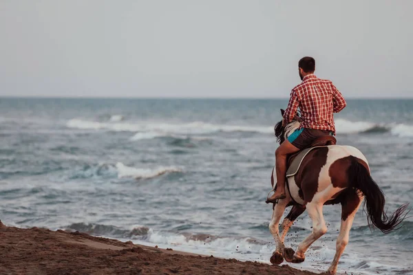 Modern Man Summer Clothes Enjoys Riding Horse Beautiful Sandy Beach —  Fotos de Stock