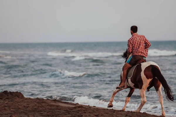 Moderní Muž Letních Šatech Užívá Jízdu Koni Krásné Písečné Pláži — Stock fotografie
