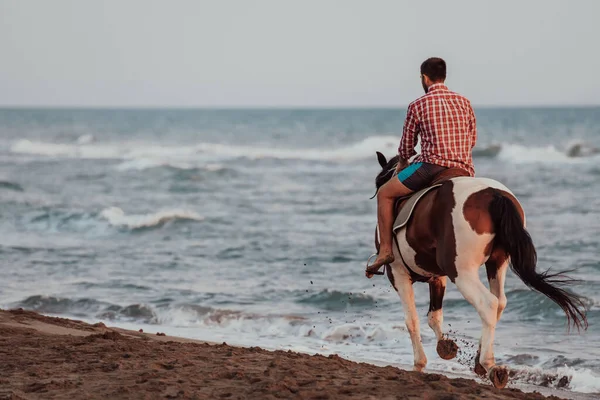 Modern Man Summer Clothes Enjoys Riding Horse Beautiful Sandy Beach — Stock Fotó