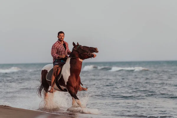 Modern Man Summer Clothes Enjoys Riding Horse Beautiful Sandy Beach — Stock Photo, Image