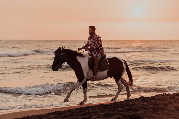 Modern Man Summer Clothes Enjoys Riding Horse Beautiful Sandy Beach — Stockfoto