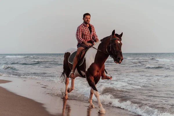 Modern Man Summer Clothes Enjoys Riding Horse Beautiful Sandy Beach — Zdjęcie stockowe