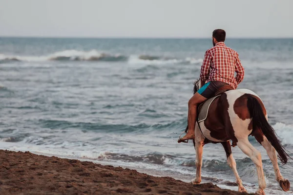 Modern Man Summer Clothes Enjoys Riding Horse Beautiful Sandy Beach — Stock fotografie