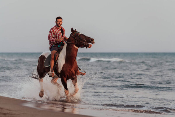 A modern man in summer clothes enjoys riding a horse on a beautiful sandy beach at sunset. Selective focus. High quality photo