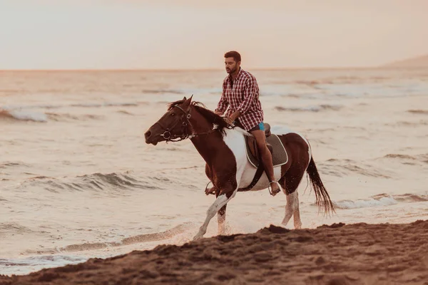 Modern Man Summer Clothes Enjoys Riding Horse Beautiful Sandy Beach — Stok fotoğraf