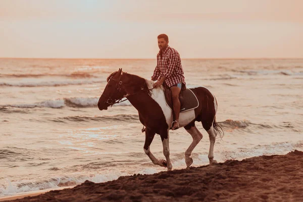 Modern Man Summer Clothes Enjoys Riding Horse Beautiful Sandy Beach — Stockfoto