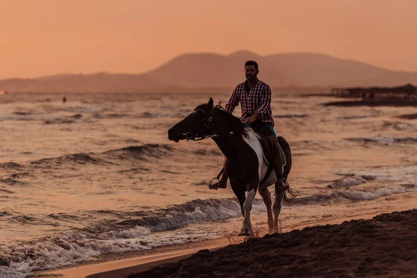 Modern Man Summer Clothes Enjoys Riding Horse Beautiful Sandy Beach — Zdjęcie stockowe