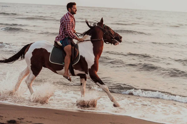 穿着夏装的现代人喜欢日落时骑马在美丽的沙滩上 有选择的重点 高质量的照片 — 图库照片
