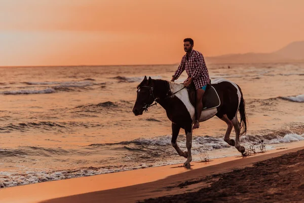 Modern Man Summer Clothes Enjoys Riding Horse Beautiful Sandy Beach — Foto de Stock