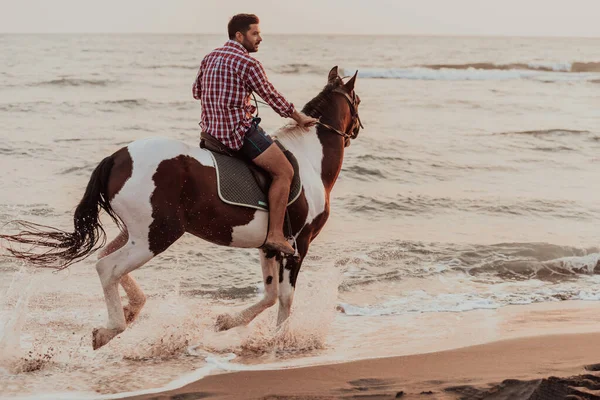 夏の服を着た現代人は 日没時に美しい砂浜で馬に乗るのを楽しんでいます 選択的フォーカス 高品質の写真 — ストック写真