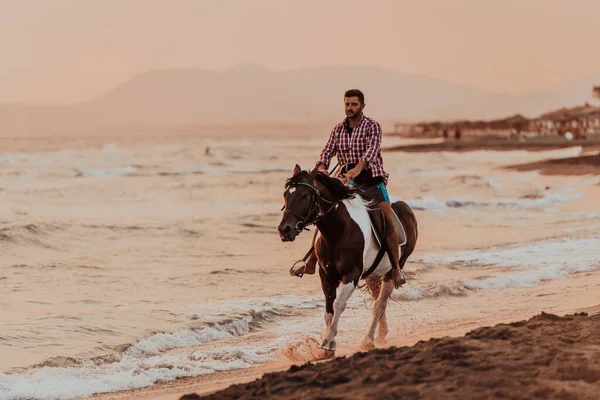 Сучасна Людина Літньому Одязі Любить Кататися Коні Красивому Піщаному Пляжі — стокове фото