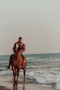 Yaz kıyafetleri içinde modern bir adam gün batımında kumlu güzel bir sahilde ata binmekten hoşlanır. Seçici odaklanma. Yüksek kalite fotoğraf