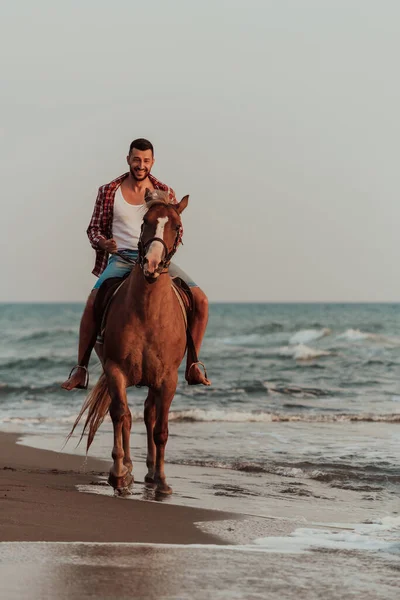 Modern Man Summer Clothes Enjoys Riding Horse Beautiful Sandy Beach — Φωτογραφία Αρχείου