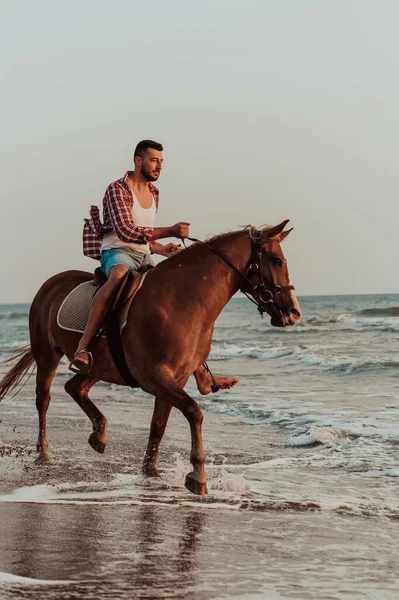 Modern Man Summer Clothes Enjoys Riding Horse Beautiful Sandy Beach — 스톡 사진