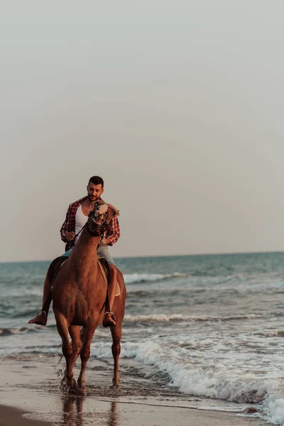 Modern Man Summer Clothes Enjoys Riding Horse Beautiful Sandy Beach — Zdjęcie stockowe