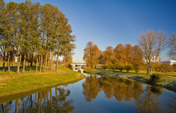 Parque de outono — Fotografia de Stock