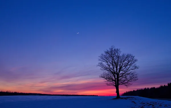 Puesta de sol en el campo — Foto de Stock