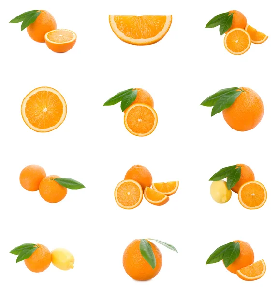Sada pomerančů — Stock fotografie