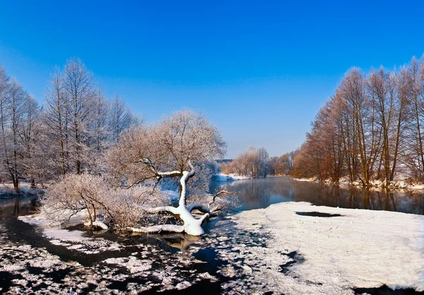 Día frío en el río de invierno — Foto de Stock