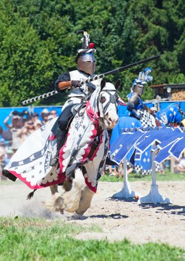 Ortaçağ Şövalyesi