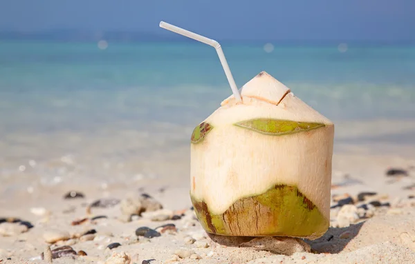 Kokos koktajl — Zdjęcie stockowe