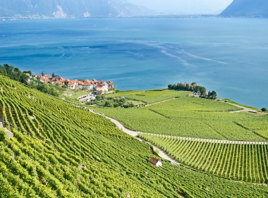 Lavaux bölgesi