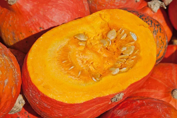 Renkli balkabakları