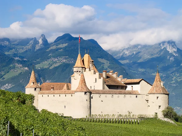 Chateau d'Aigle — Stok fotoğraf