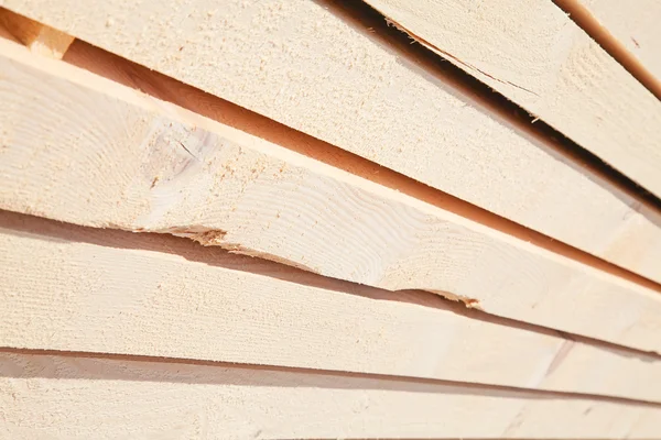 Borchie di legno fresco — Foto Stock