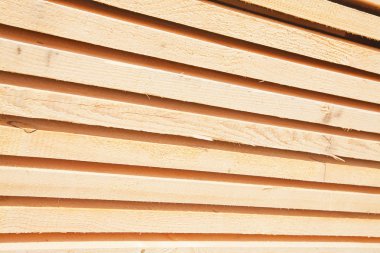 taze ahşap Çıtçıt