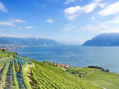 Lavaux bölgesi