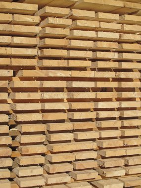 taze ahşap Çıtçıt