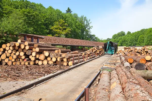 Hout klaar voor verwerking — Stockfoto