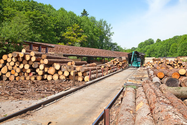 Wood ready for processing
