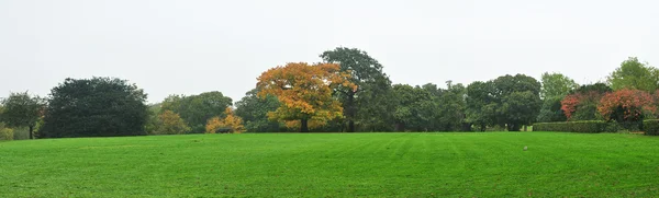 Panorama inglese — Foto Stock