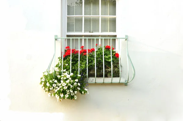หน้าต่างชนบท — ภาพถ่ายสต็อก