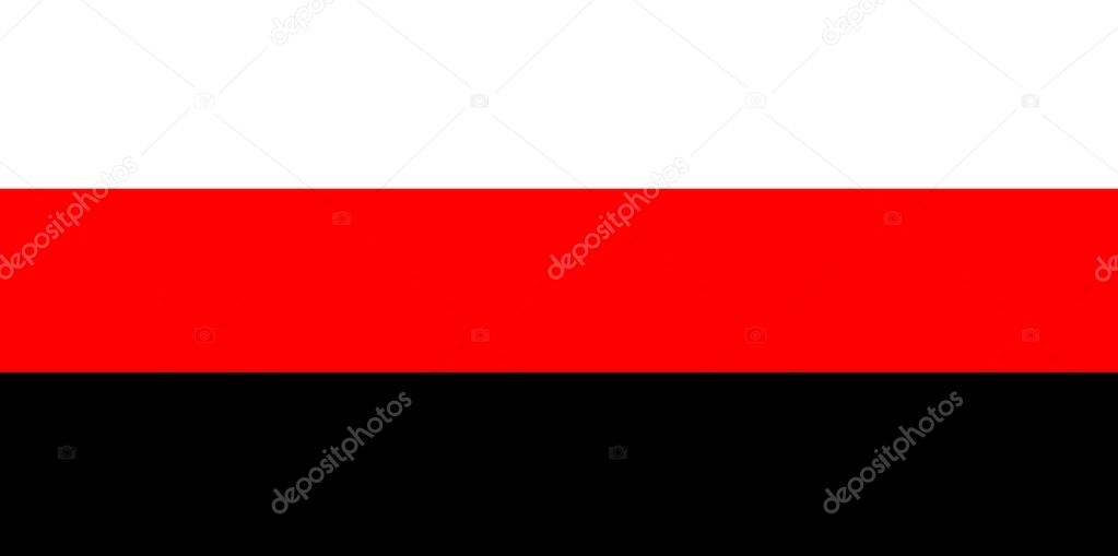 Erzya flag