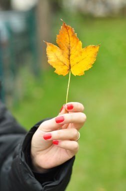 kadının elindeki sarı yaprak