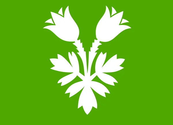 Oppland zászló — Stock Fotó