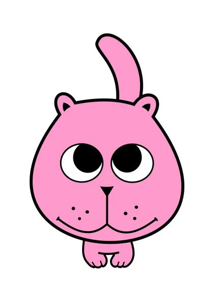 Pink cat — Stock Photo, Image